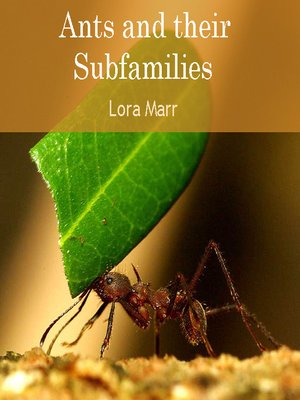 cover image of Ants and their Subfamilies